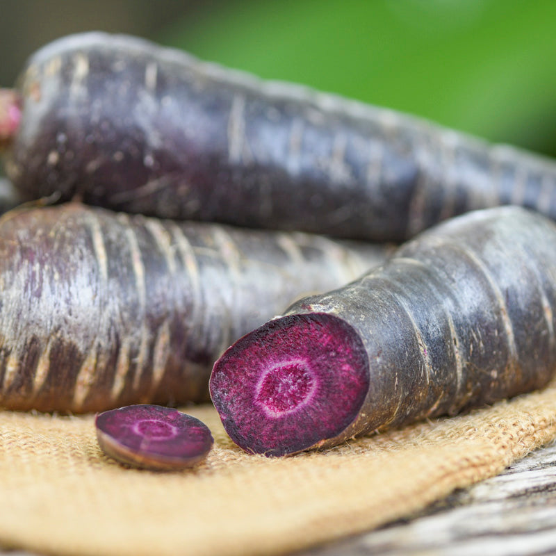 Carrot 'Cosmic Purple' Seeds