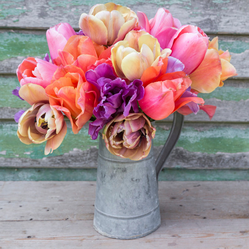 Vintage Romance Tulip Collection