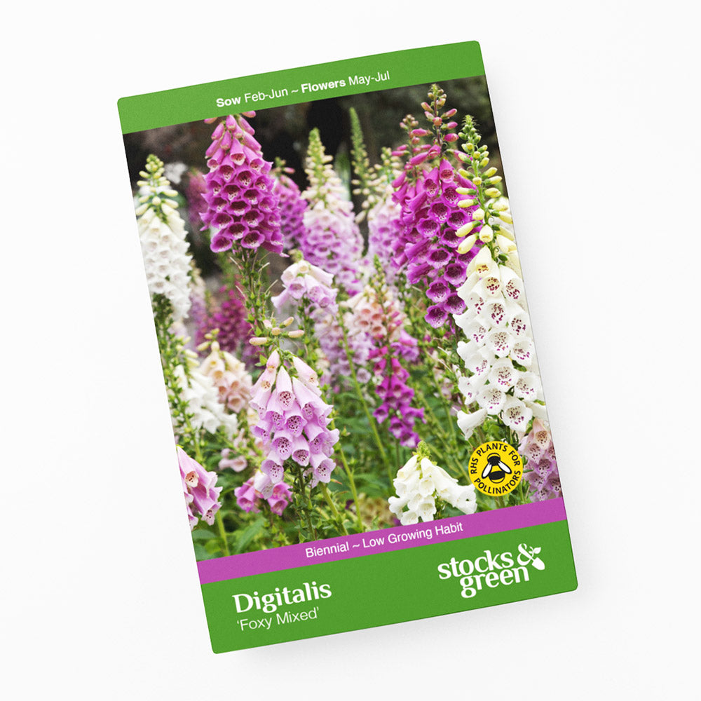 Digitalis 'Foxy Mixed' (Foxgloves) Seeds