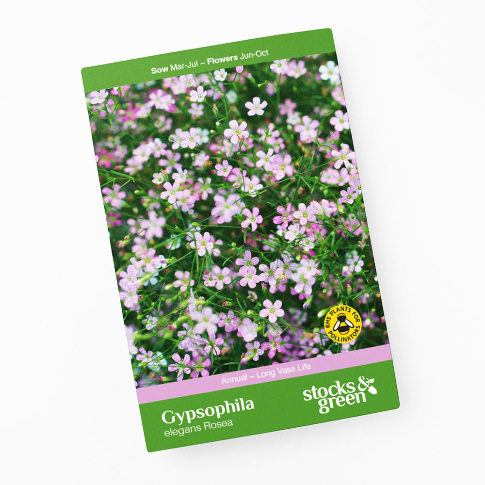 Gypsophila elegans Rosea Seeds