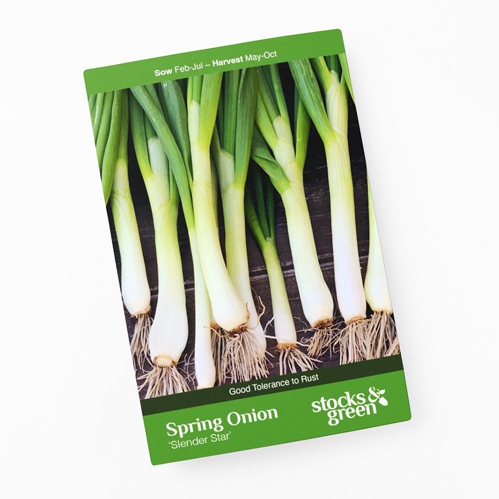 Spring Onion 'Slender Star' Seeds