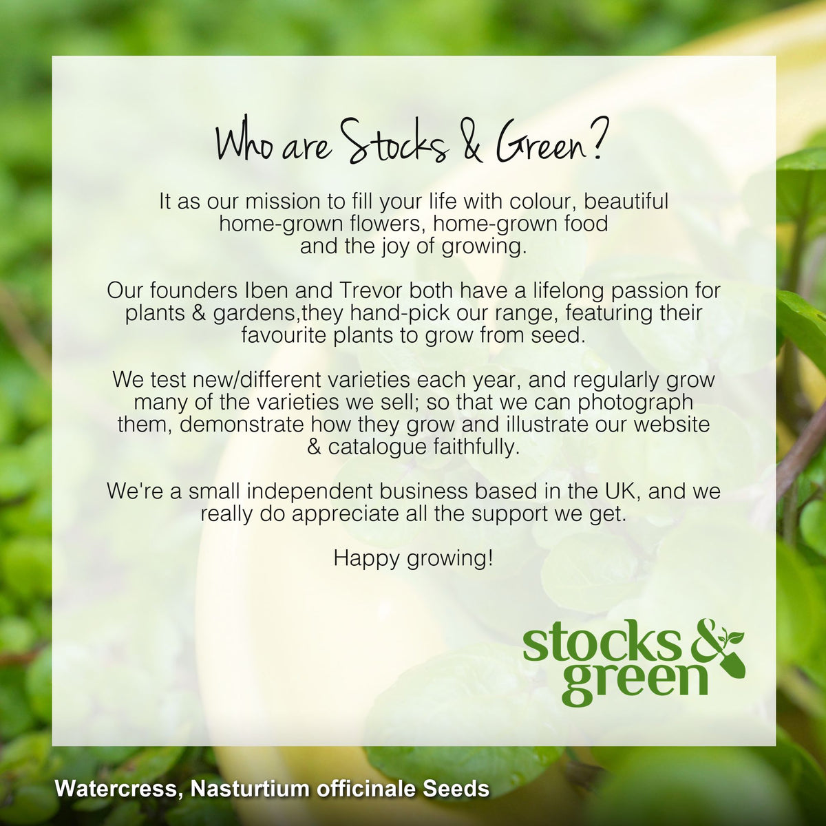 Watercress Seeds