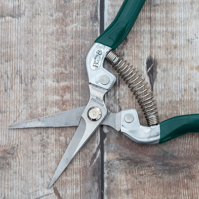 Burgon & Ball Flower & Fruit Snips