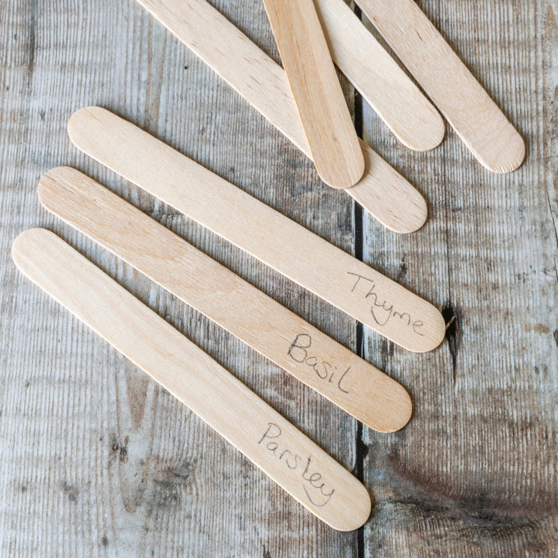 Natural Wooden Plant Labels