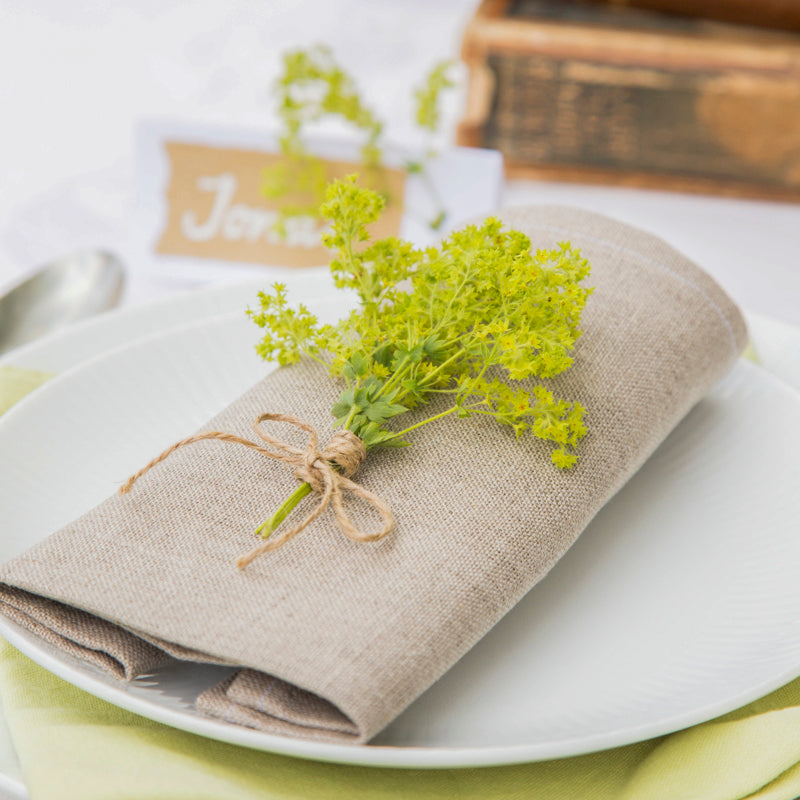 Alchemilla mollis - Seeds