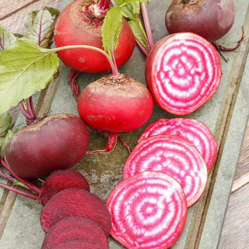 Beetroot 'Chioggia' Seeds