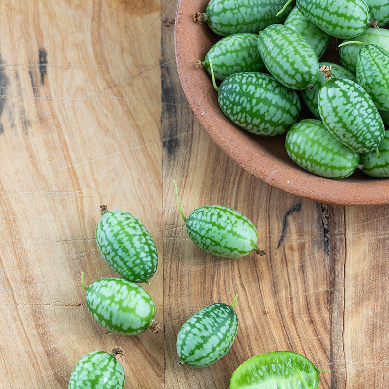 Cucamelon Seeds