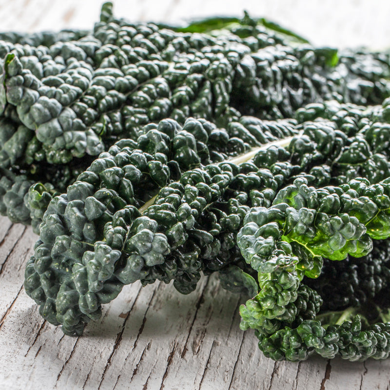 Kale 'Nero di Toscana' Seeds