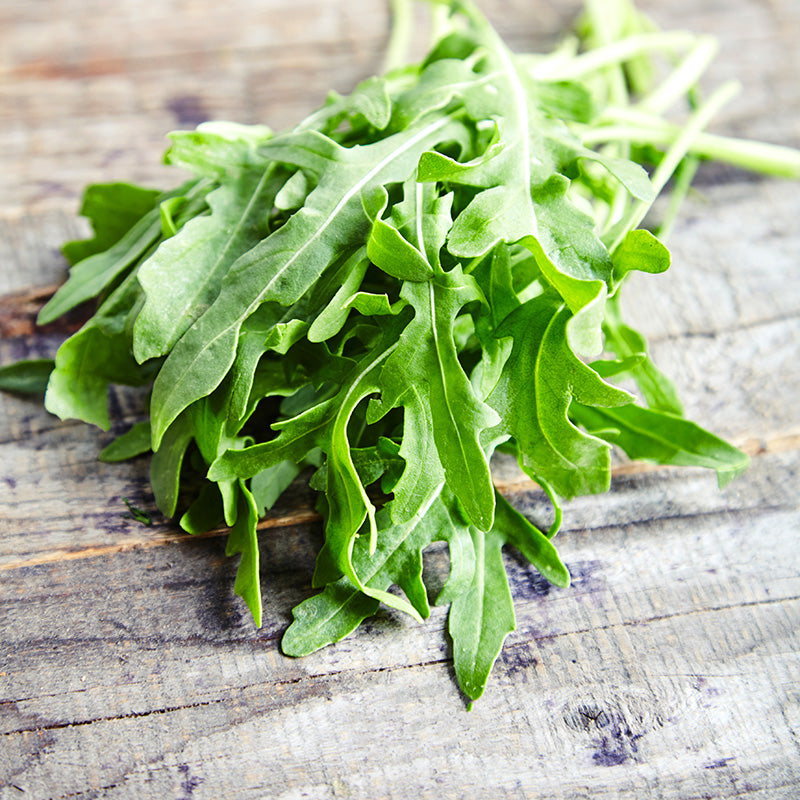 Salad Rocket Seeds Stocks & Green