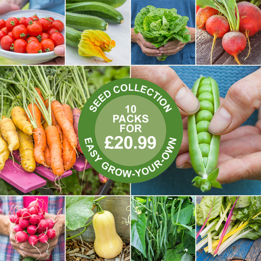 Easy Grow-Your-Own Seed Collection