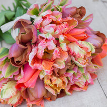 Load image into Gallery viewer, Copper &amp; Coral Tulip Collection
