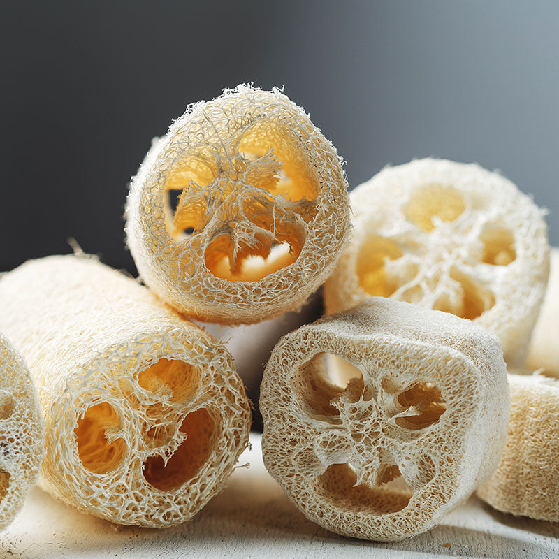 Loofah (Grow Your Own Sponge) Seeds