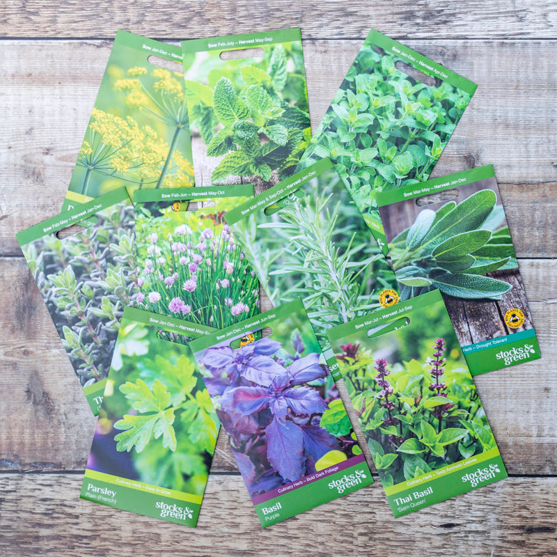 Culinary Herbs Seed Collection