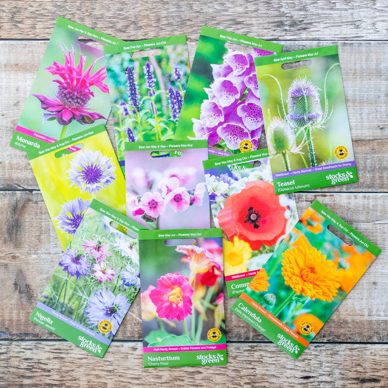 Bee-Friendly Seed Collection