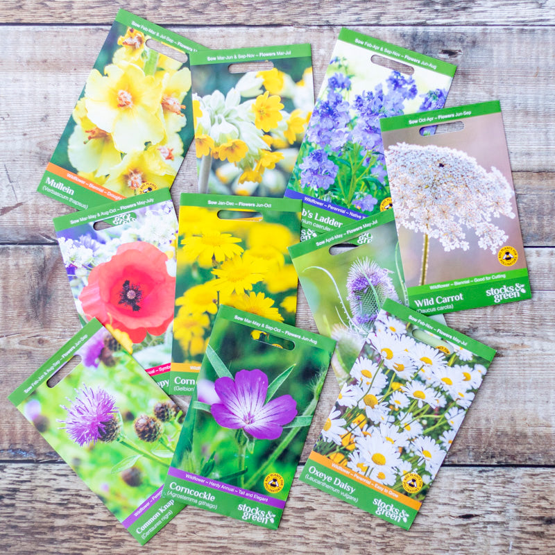 Wildflower Seed Collection