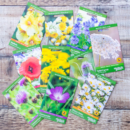 Wildflower Seed Collection