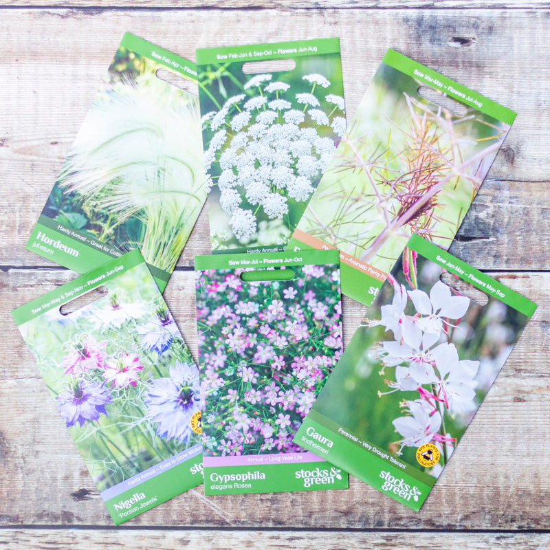 Feathery Cloud Seed Collection