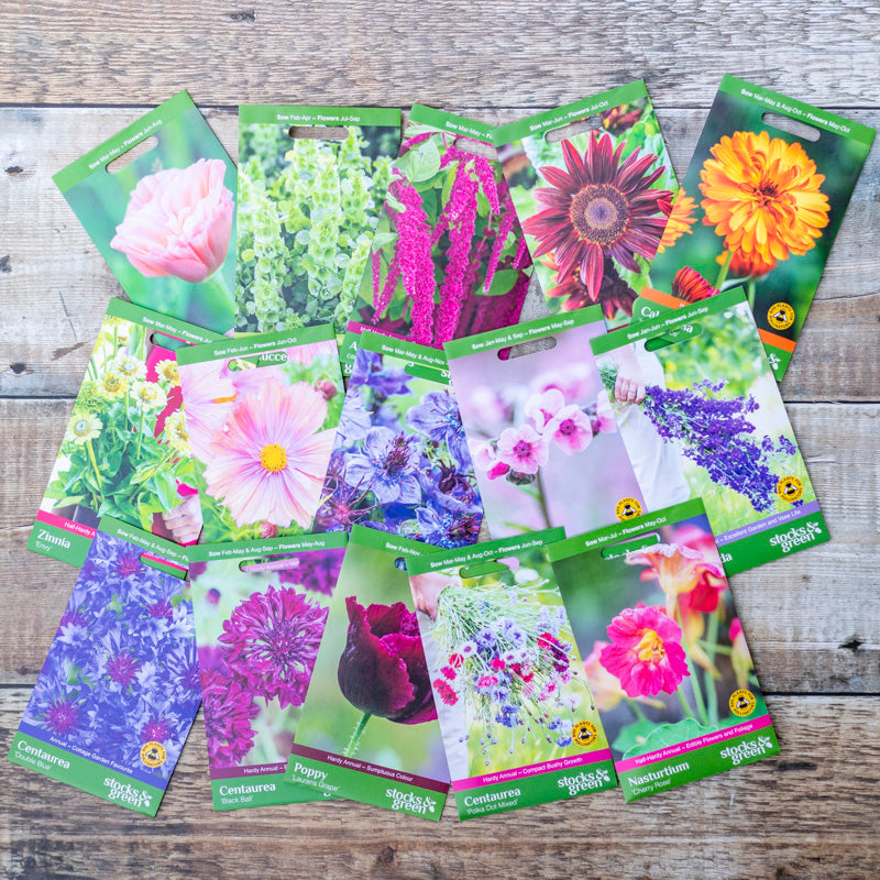 Supersize Jewel Box Garden Collection