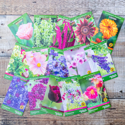 Supersize Jewel Box Garden Collection