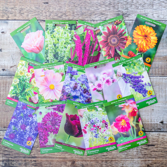 Supersize Jewel Box Garden Collection