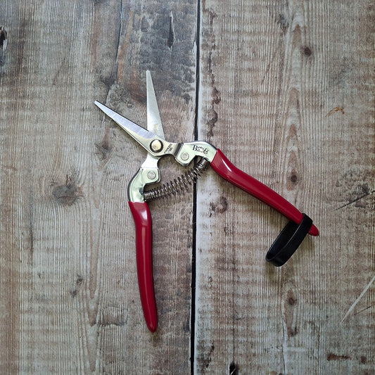 Burgon & Ball Flower & Fruit Snips