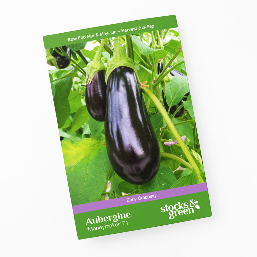 Aubergine 'Moneymaker' F1 Seeds
