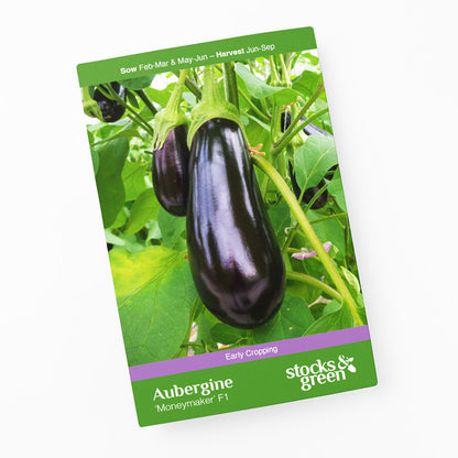 Aubergine 'Moneymaker' F1 Seeds