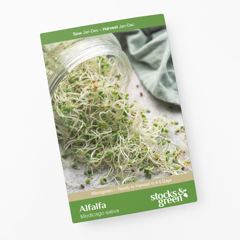 Microgreens – Alfalfa Seeds