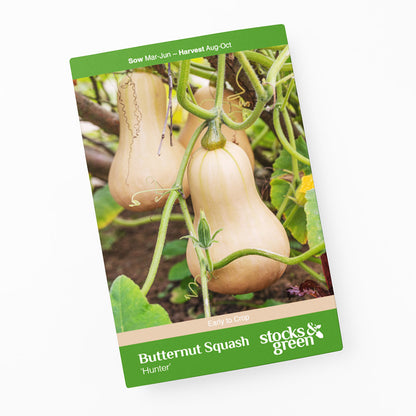 Butternut Squash 'Hunter' Seeds