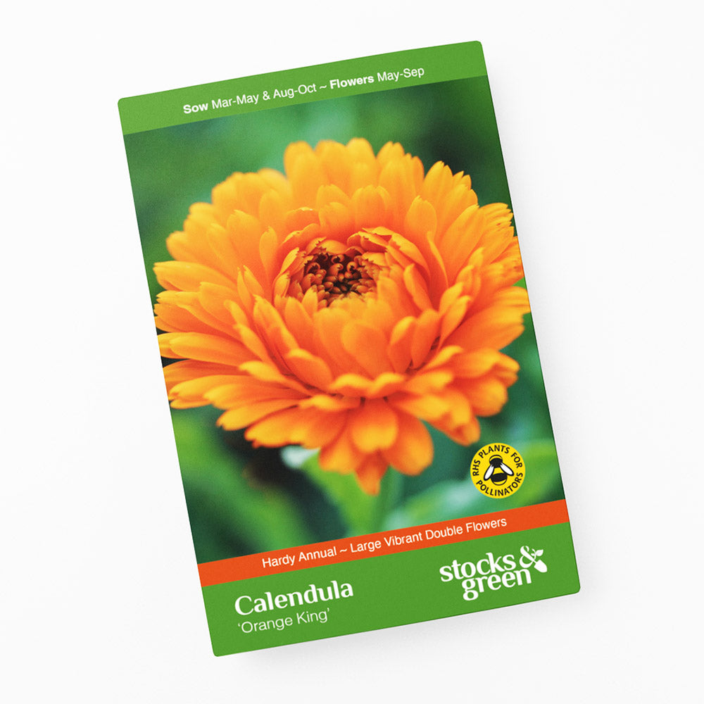 Calendula 'Orange King' Seeds