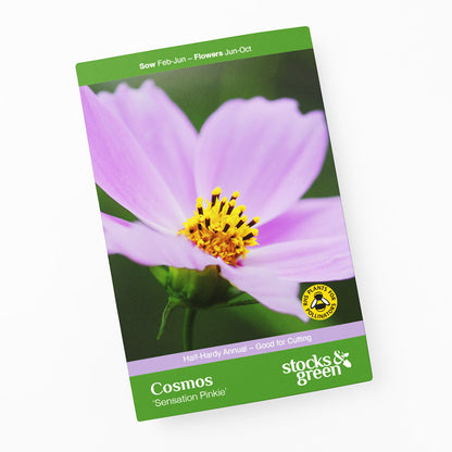 Cosmos Sensation 'Pinkie' Seeds