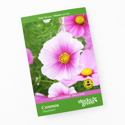 Cosmos 'Daydream' Seeds