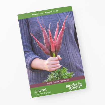 Carrot 'Cosmic Purple' Seeds