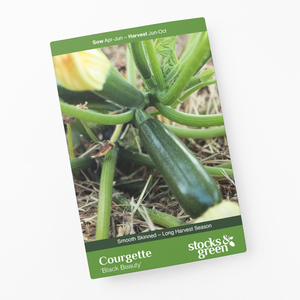 Courgette 'Black Beauty' Seeds