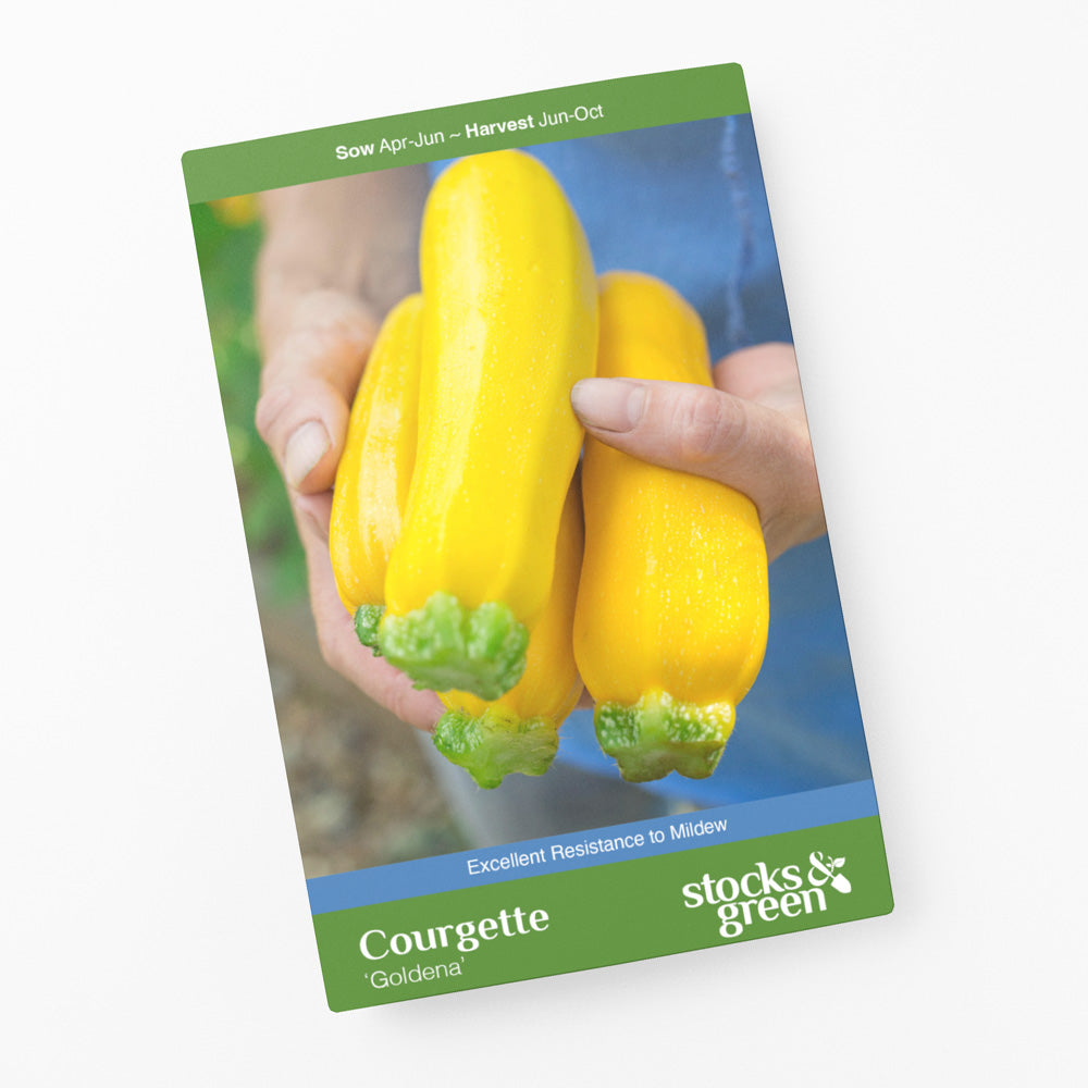 Courgette 'Goldena' Seeds