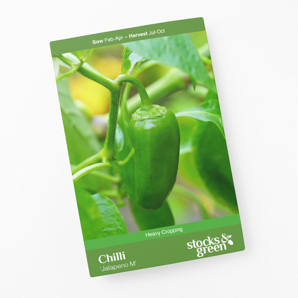 Chilli 'Jalapeno M' - Seeds