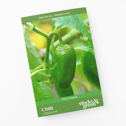 Chilli 'Jalapeno M' - Seeds