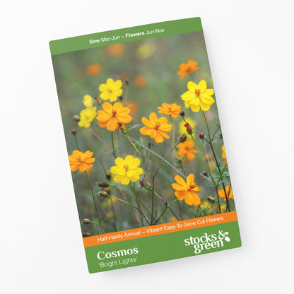 Cosmos sulphureus 'Bright Lights' Seeds