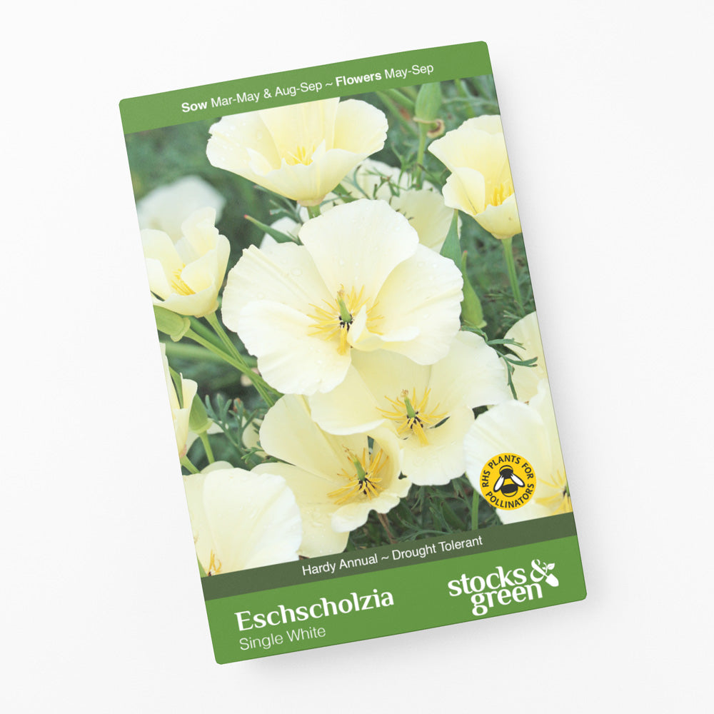 Eschscholzia 'Single White' Seeds