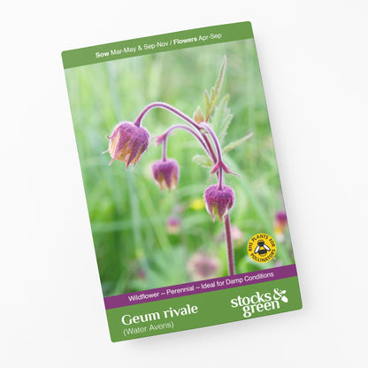 Geum rivale - Water Avens Seeds