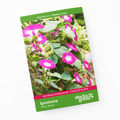 Ipomoea 'Party Dress' Seeds