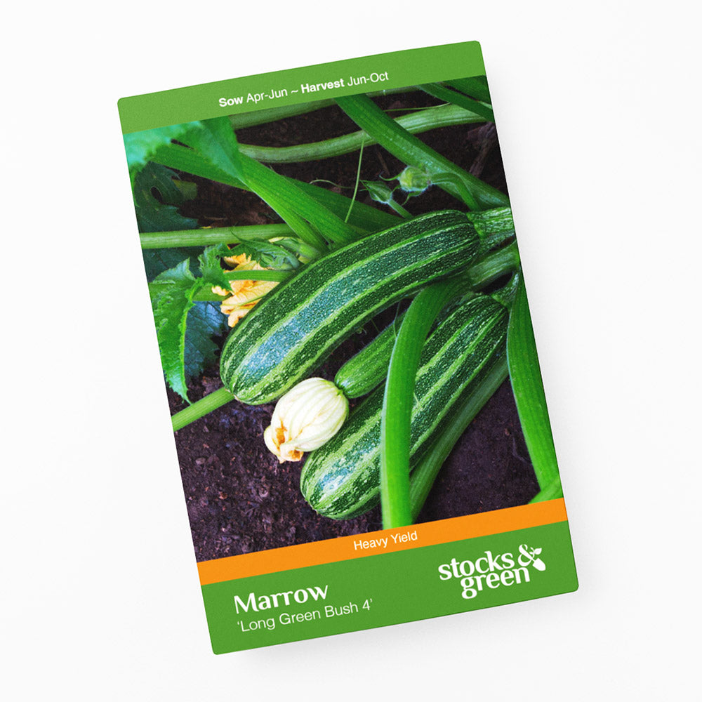 Marrow 'Long Green Bush 4' Seeds