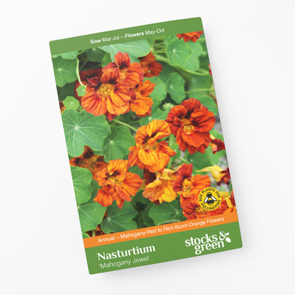 Tropaeolum 'Mahogany Jewel' (Nasturtium) Seeds