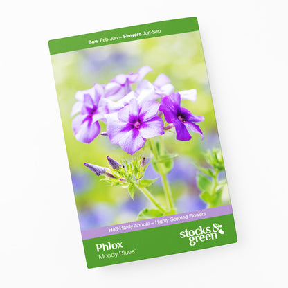 Phlox drummondii 'Moody Blues' Seeds