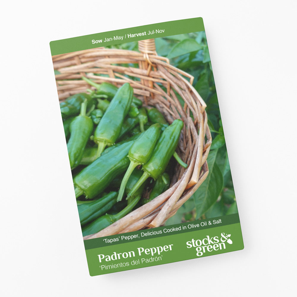 Padron Pepper Seeds