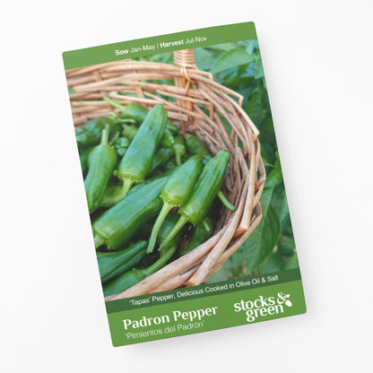 Padron Pepper Seeds