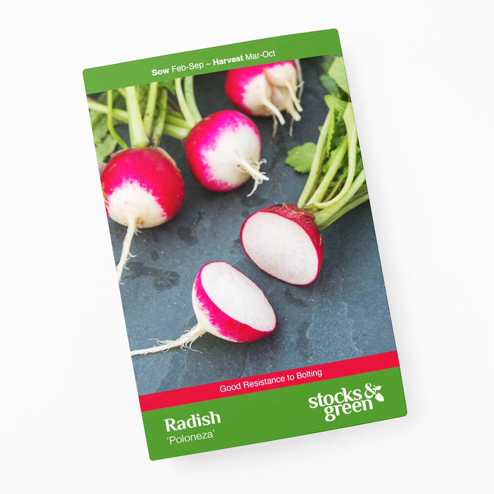 Radish 'Poloneza' Seeds