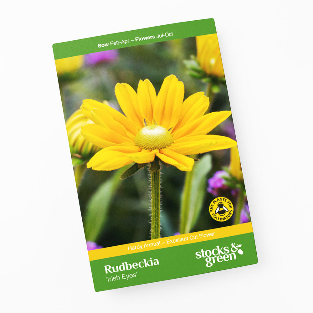Rudbeckia hirta 'Irish Eyes' Seeds