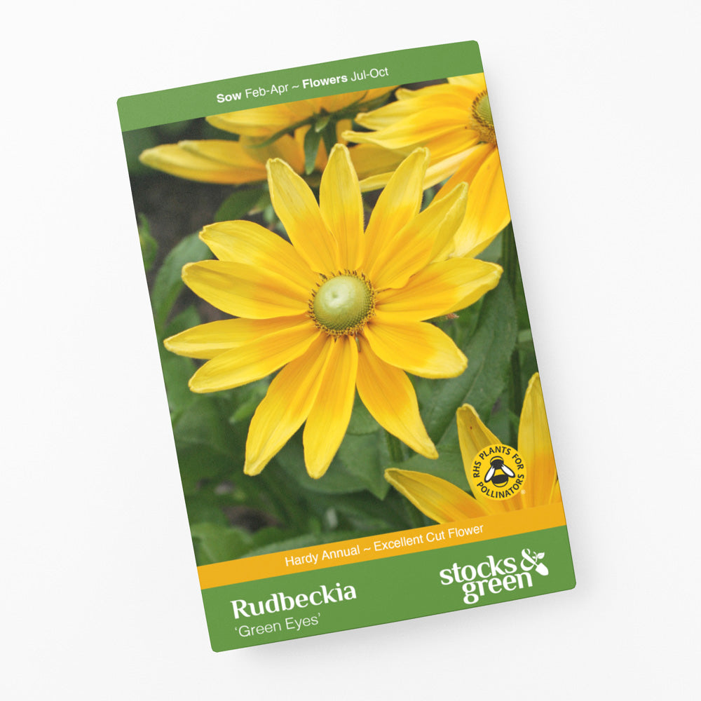 Rudbeckia 'Green Eyes' Seeds