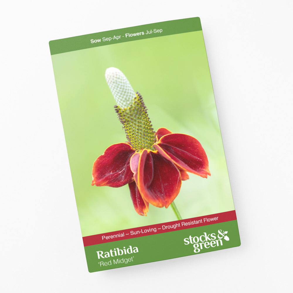 Ratibida columnifera f. pulcherrima 'Red Midget' Seeds
